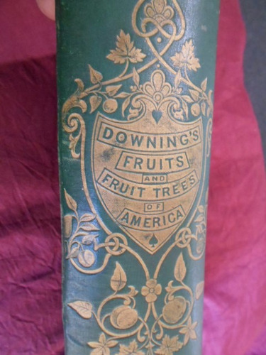 Fruit Trees Of America, Downing 1893 Cultivos Frutos Árboles