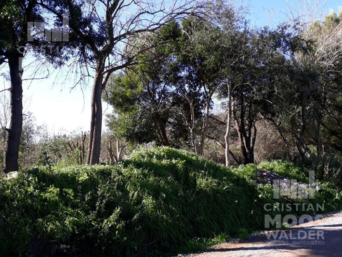 Imagen 4 de 8 de Lote En Venta En Loma Verde - Cristian Mooswalder Negocios Inmobiliarios-