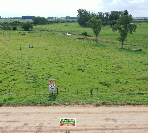 Imagen 21 de 21 de 3,3 Has Sobre Autopista Ruta 14 Colon Entre Ríos