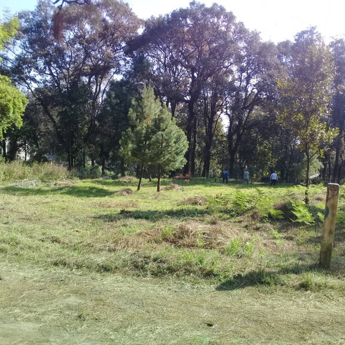 Hermoso Terreno Real Monte Casino (cerca Cuernavaca)  A 30 Minutos De Cdmx 