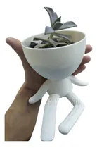 Comprar Macetas  Robert Plant Hombrecito Cactus\u002Fsuculenta