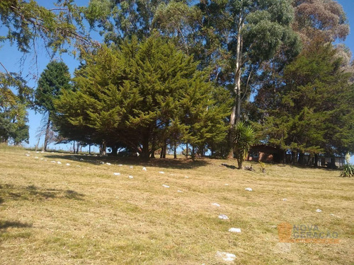 Imagem 2 de 17 de Chácara À Venda, 3090 M² Por R$ 250.000,00 - Vila Seca - Caxias Do Sul/rs - Ch0001