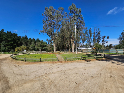 Hacienda Algarrobo, 5000 M2,portería, Rol, Red De Luz Y Agua