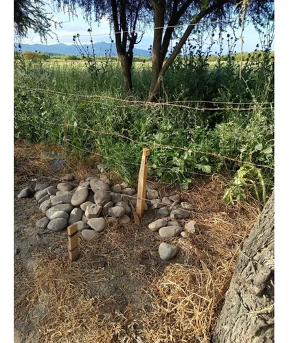 Parcela En Los Mayos: Inversión Tranquila Y Segura