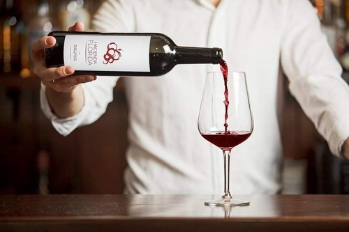 Imagen 2 de 3 de Vino Tinto Malbec Mexicano Hacienda Florida 750ml