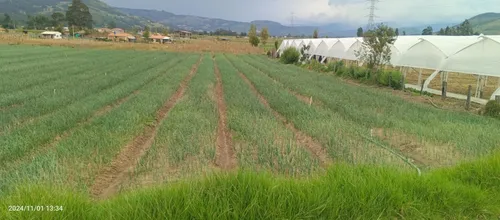 Se Vende Lote De 2000 M2