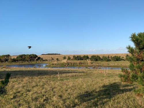 Campo En Venta