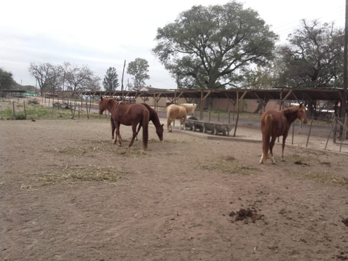 Imagen 2 de 10 de Terreno Venta La Arbolada San Lorenzo Chico 1000 M