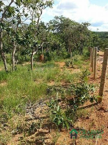Imagem 5 de 11 de Lote Na Serra Do Cipó - 2318v