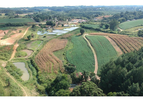 Imagem 2 de 15 de Sítio / Chácara Para Venda Em Quitandinha, Abranches - 150_2-1571928