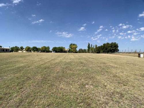 Imagen 3 de 13 de Venta Terreno De 1600m2 En Colinas De Carrasco