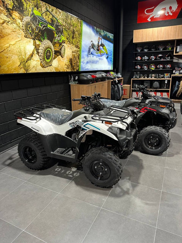 Imagen 4 de 17 de Kawasaki Brute Force 300 Cuatriciclo Ahora 12/18 No Fourtrax