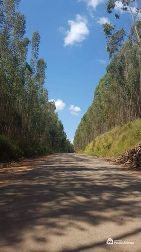 Chácara À Venda, 2300 M² Por R$ 65.000,00 - Zona Rural - Poços De Caldas/mg - Ch0040
