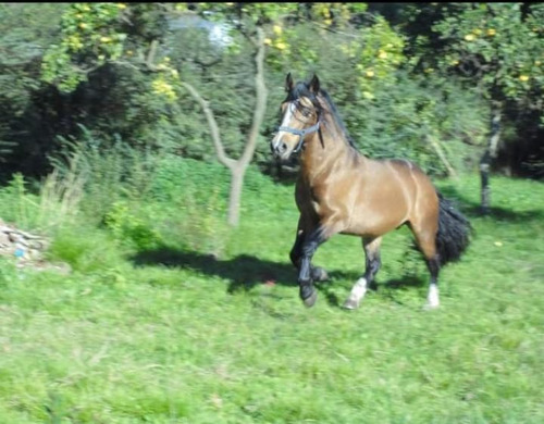 Lote En Venta En Virrey Del Pino
