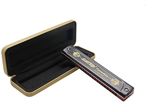 East Top 22 Holes Professional Tremolo Harmonica For Adults