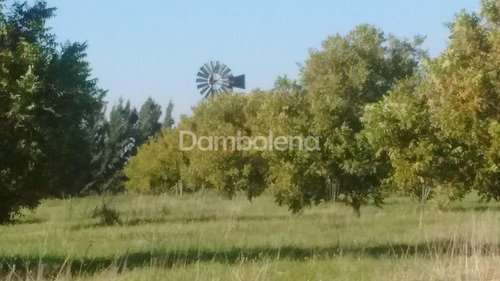 Imagen 24 de 25 de Terreno En Venta O Permuta Ubicado En Punta Indio, Resto De La Provincia