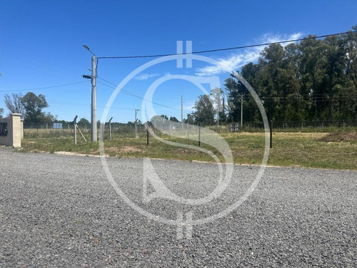 Terreno En Venta Los Pinos Sin Expensas Exaltacion