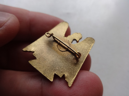 Militaria Antiguo Pin Escudo Mendoza Ejercito Policia San Ma (Usado)