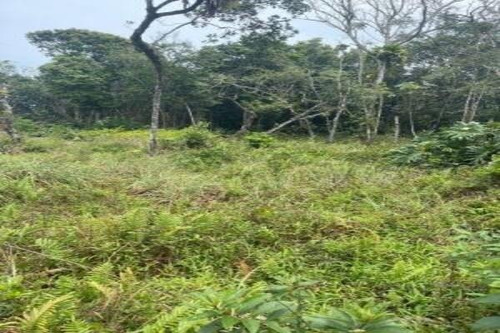 Imagem 2 de 3 de Terreno À 650 Metros Da Praia Em Itanhaém Litoral Sul De Sp | 8833