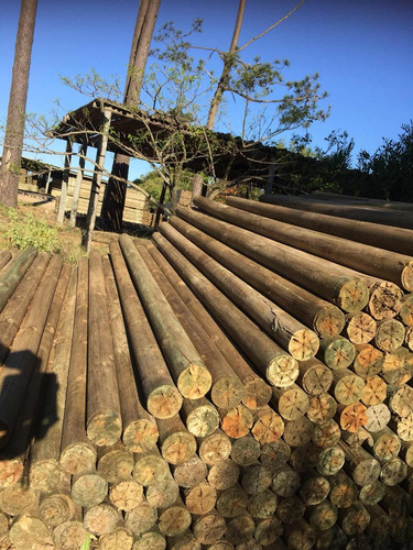 Imagen 2 de 4 de Polines Tratados Cca