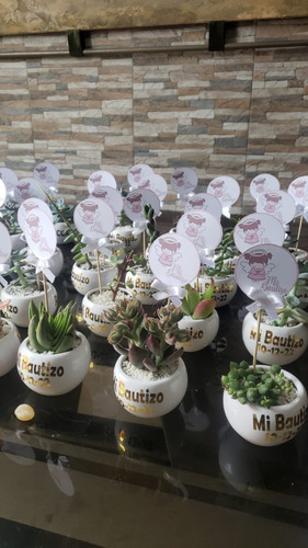 Imagen 2 de 10 de Regalos, Plantas Cactus Suculentas, Matrimonios Bautizo Misa