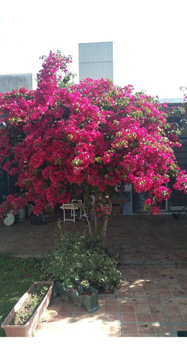 Casa Venta Ituzaingó 3 Amb Con Jardin Y Entrada Auto