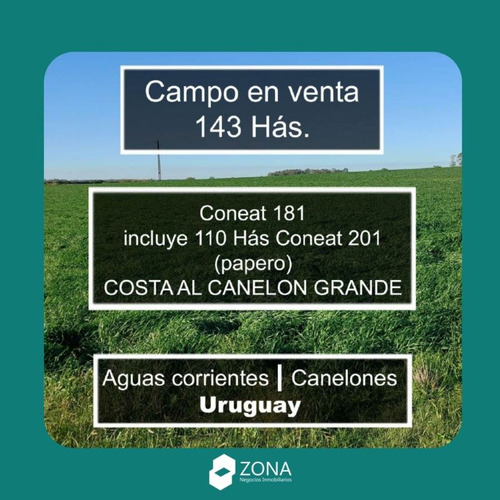 Venta De Campo En Aguas Corrientes, Canelones Gran Inversión