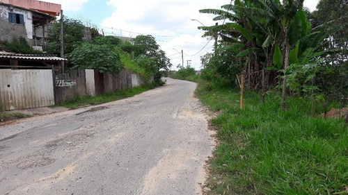 Imagem 5 de 5 de Terreno Em Jardim Elba - Francisco Morato - 140