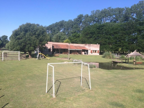 Imagen 11 de 18 de Venta De Quinta Carmen De Areco