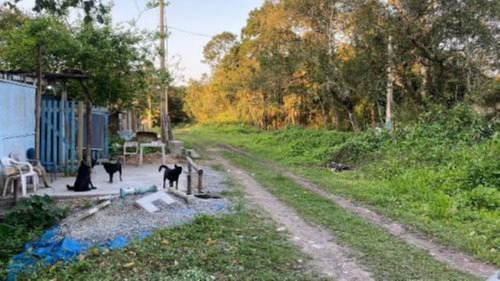 Imagem 4 de 12 de Oportunidade De Terreno Com 156 M², Em Itanhaém/sp 8657-pc