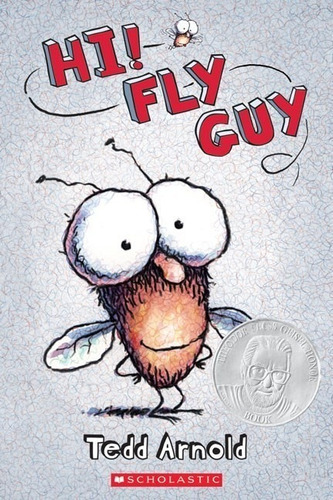 Hi Fly Guy -developing Reader 2 - Scholastic - Tedd Arnold