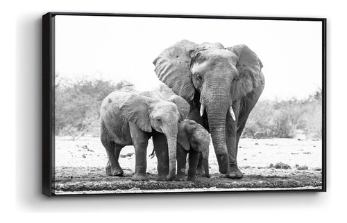 Cuadro Enmarcado Flotado Elefante Con Sus Crias 90x140cm