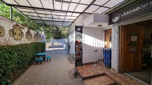 Local Comercial José Domingo Cañas/av. Campo De Deportes