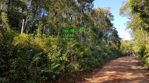 Imagem 9 de 19 de Juquitiba/terreno Com Mata E Nascente. - 05000 - 68089597