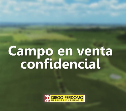 Campo De 80 Has En Venta, Próximo A Ciudad De Libertad