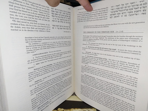The Jps Torah Commentary Deuteronomy (en Ingles) (Usado)