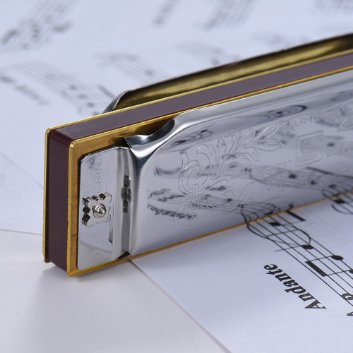 Instrumentos Musicales 1072-f Folkmaster Standard De 10 Hoyo