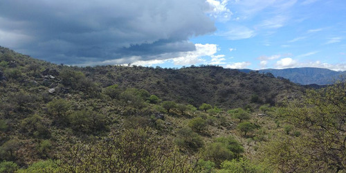 San Francisco  Del Monte De Oro,  Chacra Sobre Ruta , Escritura Inmediata