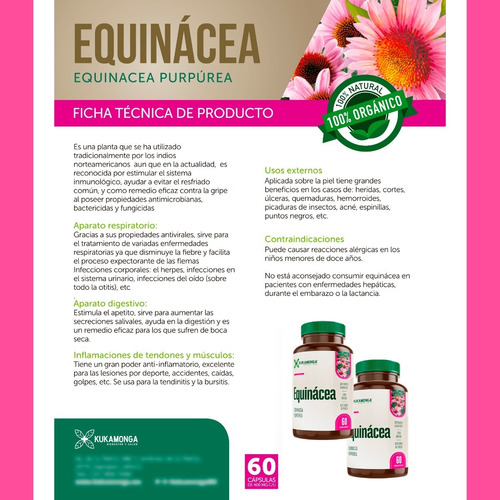 Equinacea | 60 Cápsulas | Anti Viral | Resfriados | 20 Días Sin Sabor