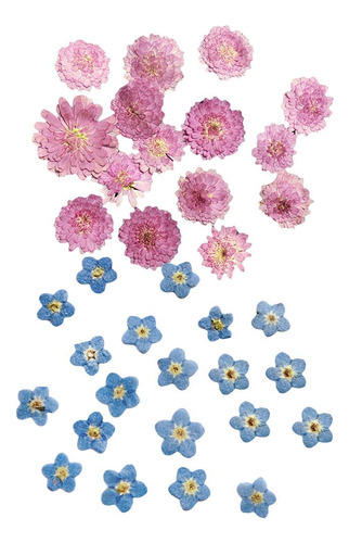 20 Piezas De Flores Prensadas Botones De Flores Secas
