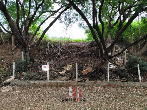 Imagem 7 de 9 de Terreno A Venda Jd Maria Do Carmo Sorocaba Sp - Te-0113-1