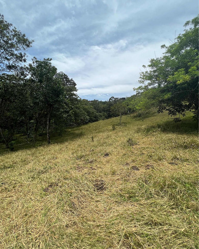 Proyecto De Solares Residenciales En Jarabacoa