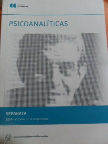 Revista Psicoanalíticas. Exilio De La Subjetividad. 