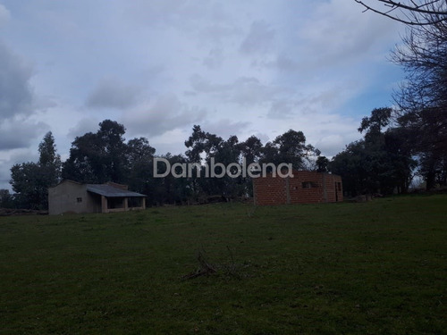 Imagen 2 de 7 de Terreno Campo En Venta Ubicado En General Rodríguez, G.b.a. Zona Oeste