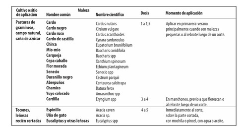 Vantor 101- Herbicida Control Arbustos, Chilcas, Tocones 20l
