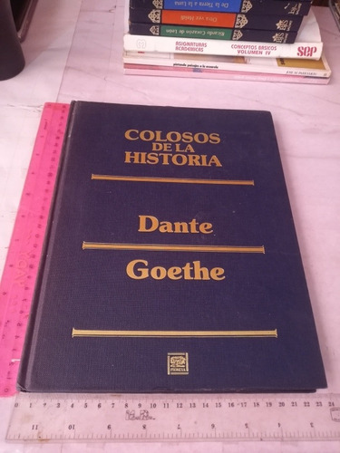 Colosos De La Historia Dante Goethe Ed Promexa 