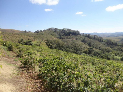 Imagem 26 de 30 de Fazenda De Café Em Monte Sião-mg - 7676