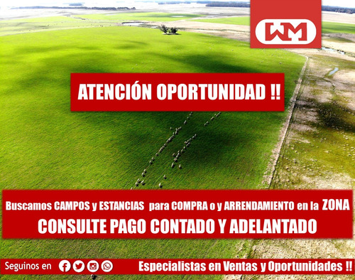 Compra Venta Campo Florida De 100 A 1500 Has Agrícola Ganadero Compramos O Arrendamos Pago Contado