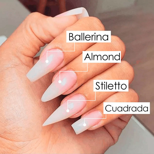 Formas Esculturales Uñas 200 Pzs Classic Form Organic Nails