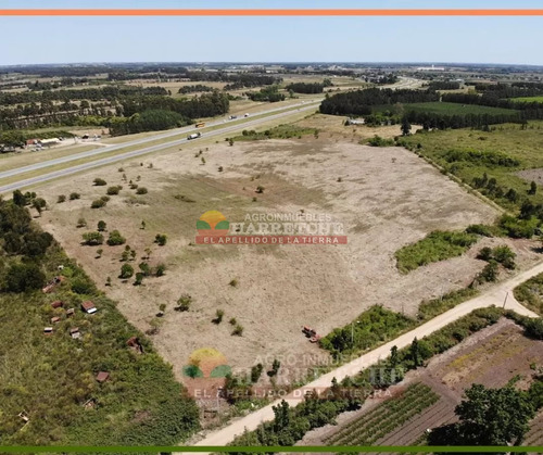 Terreno En Venta 44.857 M2 Urbanos Ruta 5 Apto Parque Industrial 